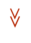    V  V