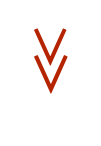    V  V