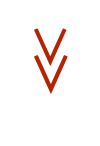    V  V