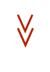    V  V